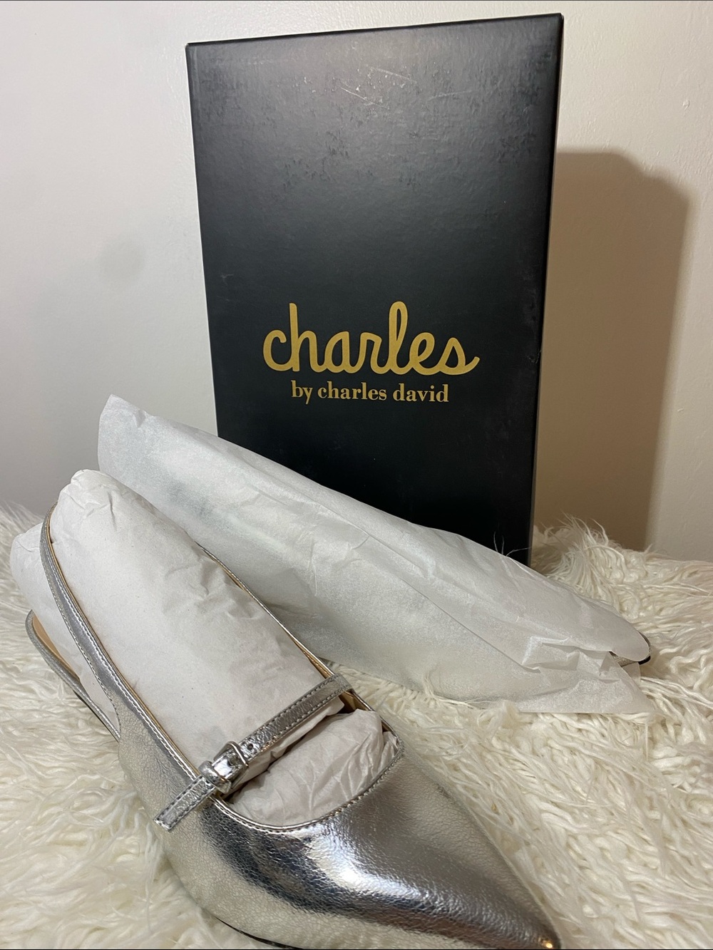 Charles by Charles David Silver Metallic Pointed-Toe Slingback Flats